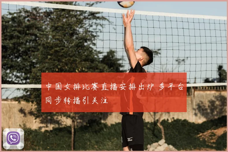 中国女排比赛直播安排出炉 多平台同步转播引关注
