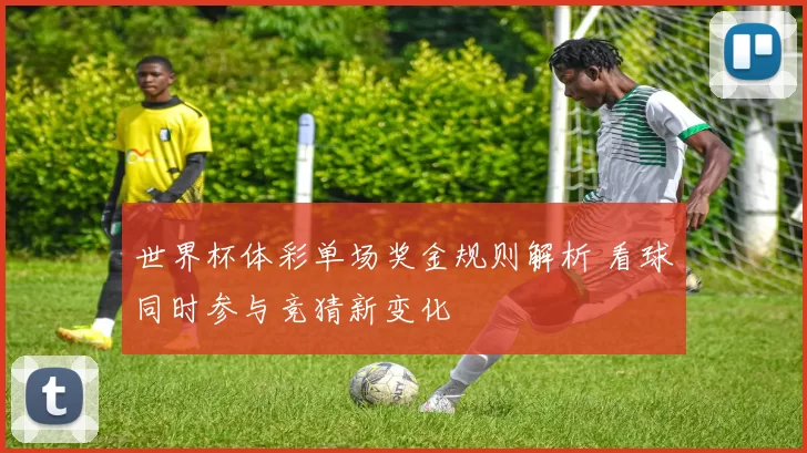 世界杯体彩单场奖金规则解析 看球同时参与竞猜新变化