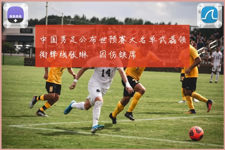 中国男足公布世预赛大名单武磊领衔锋线张琳芃因伤缺席