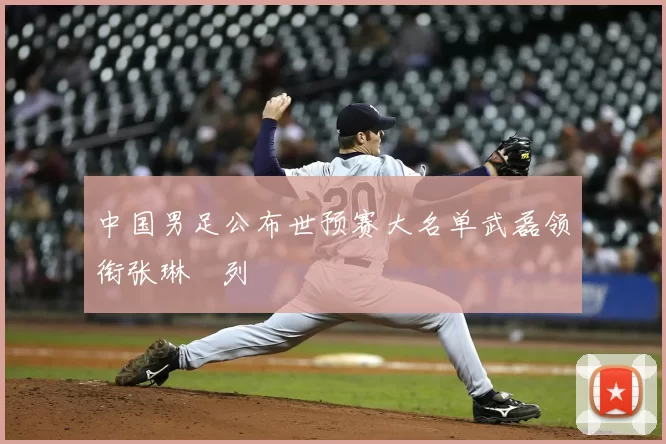 中国男足公布世预赛大名单武磊领衔张琳芃列