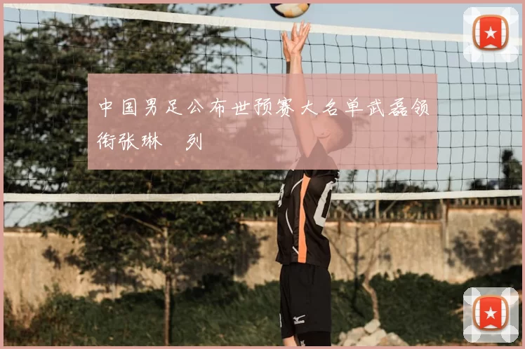 中国男足公布世预赛大名单武磊领衔张琳芃列