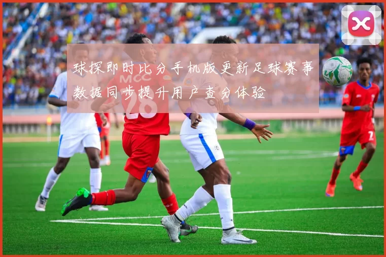 球探即时比分手机版更新足球赛事数据同步提升用户查分体验