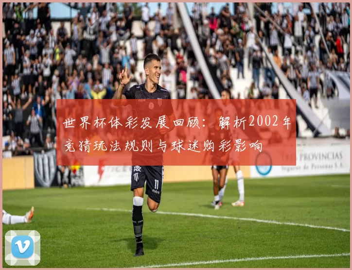 世界杯体彩发展回顾：解析2002年竞猜玩法规则与球迷购彩影响