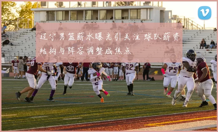 辽宁男篮薪水曝光引关注 球队薪资结构与阵容调整成焦点