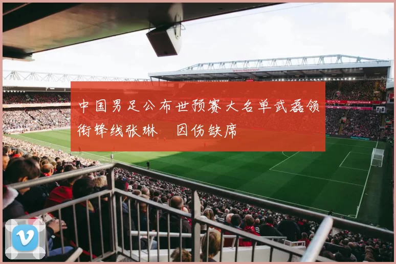 中国男足公布世预赛大名单武磊领衔锋线张琳芃因伤缺席