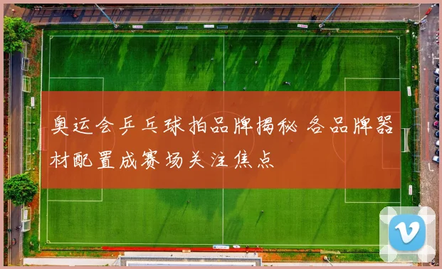 奥运会乒乓球拍品牌揭秘 各品牌器材配置成赛场关注焦点