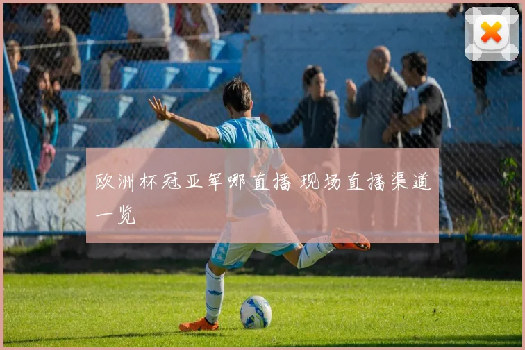 欧洲杯冠亚军哪直播 现场直播渠道一览